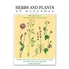 Guide to Herbs an...