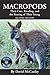 Macropods: Their Care, Breeding and the Rearing of Their Young (Book & CD-ROM)