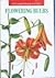 Flowering Bulbs