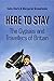 Here To Stay: The Gypsies and Travellers of Britain by Dr. Colin Clark (2006-04-01)