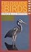 Stokes Field Guide to Birds: Eastern Region (Stokes Field Guide to Birds)