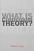 What Is Curriculum Theory? (text only) 1st (First) edition by W. F. Pinar