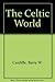 The Celtic World by Barry W. Cunliffe (1993-09-01)