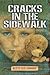 Cracks In The Sidewalk Paperback – September 22, 2011