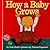 By Nola Buck How a Baby Grows [Board book]