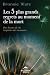 Les 5 plus grands regrets au moment de la mort by Bronnie Ware