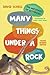 Many Things Under a Rock Young Readers Edition by David Scheel