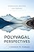 Polyvagal Perspectives: Interventions, Practices, and Strategies (Norton Series on Interpersonal Neurobiology)