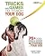 Tricks and Games to Teach Your Dog: 75 Cool Activities to Bring Out Your Dog's Inner Star by Sophie Collins (2014-04-15)