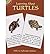 [(Learning About Turtles )] [Author: Jan Sovak] [Mar-2003]