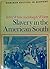Slavery in the American South (Seminar studies in history)