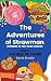The Adventures of Strawman:...