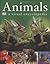 Animals Publisher: DK CHILDREN; Ill edition