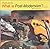 What is Post-Modernism (What Isà?) 4th edition by Jencks, Charles (1996) Paperback