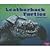Leatherback Turtles