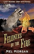 Felonies by the Fire