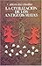 La civilizaci?n de los antiguos mayas (Spanish Edition) by Ru... by Ruz Lhuillier Alberto