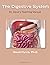 Dr. Dave's Teaching Manual by David Purvis