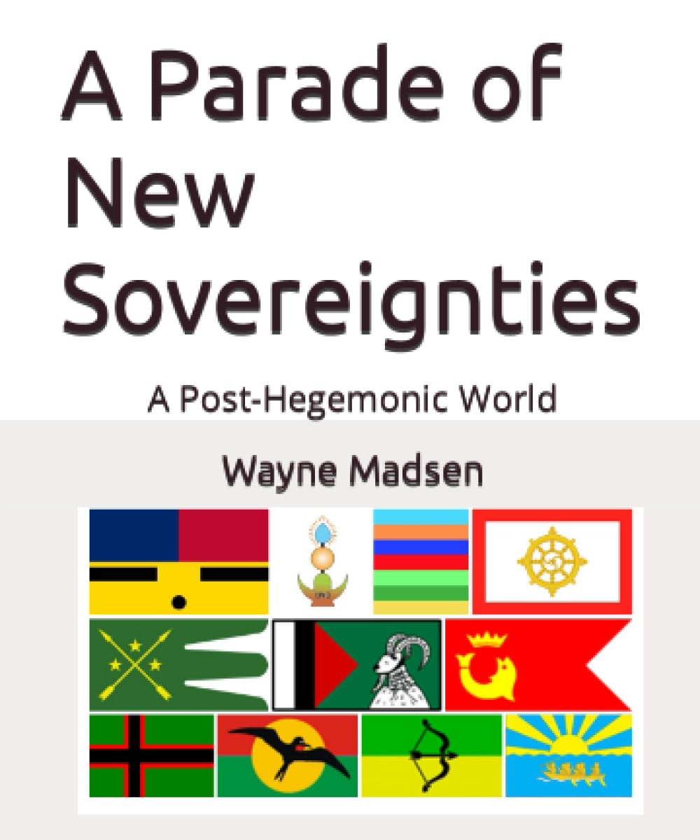 A Parade of New Sovereignties: A Post-Hegemonic World (Paperback)