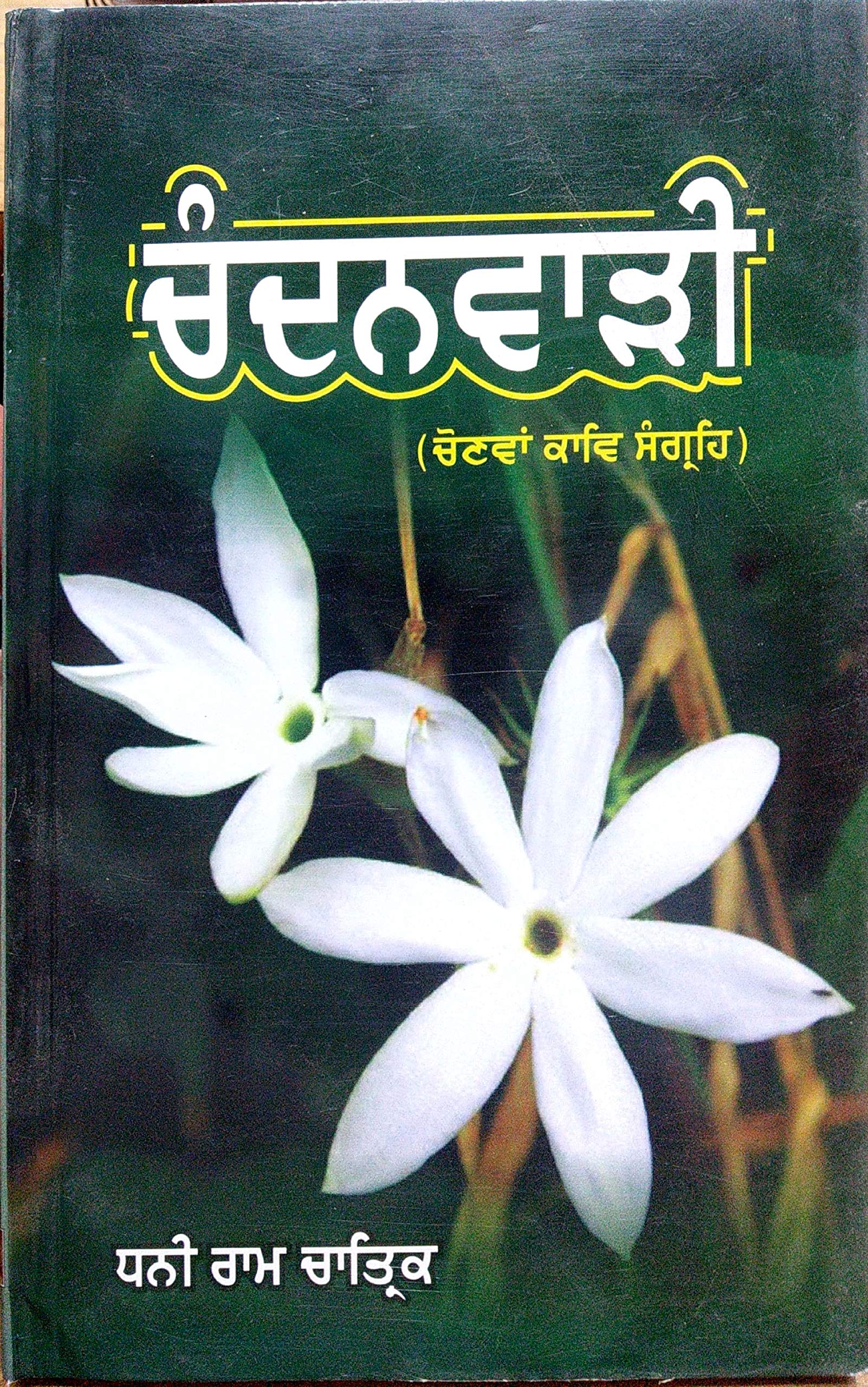 Chandanwari (Paperback)