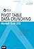 Excel 2013 Pivot Table Data Crunching (MrExcel Library) by Bill Jelen (2013-01-26)