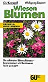 Wiesen Blumendie Schönsten Blütenpflanzen Kennenlernen Und Bestimmen Leicht Gemacht Wiesen Blumendie Schönsten Blütenpflanzen Kennenlernen Und Bestimmen Leicht Gemacht
