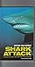 Shark Attack