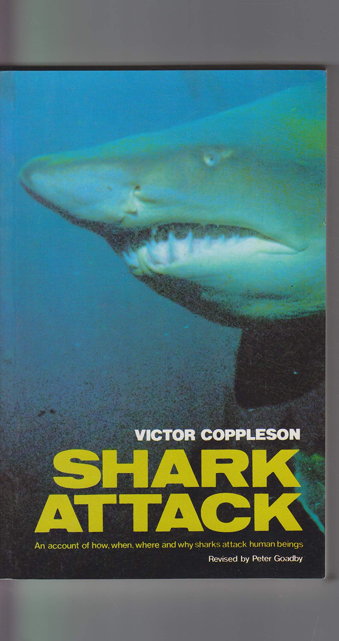 Shark Attack (Paperback)