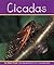 Cicadas