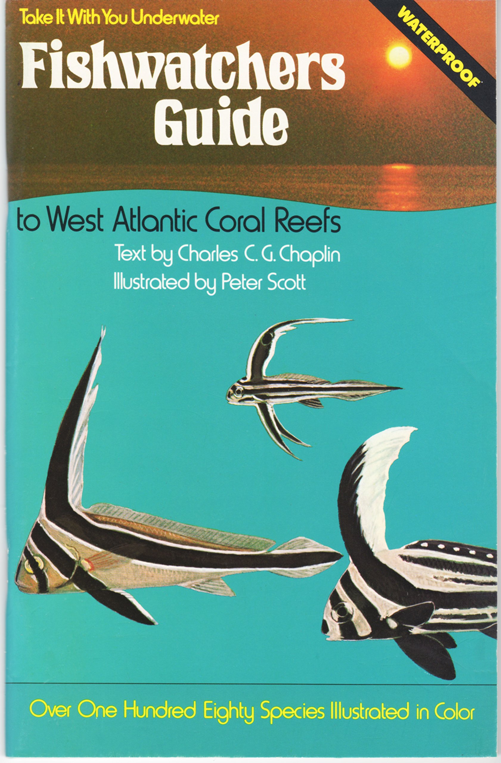 Fishwatchers Guide to West Atlantic Coral Reefs: With Coral Identification Plate, Waterproof edition (Paperback)