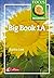 Focus on Literacy: Big Book 1A