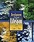 Development Through the Lifespan Fourth Edition