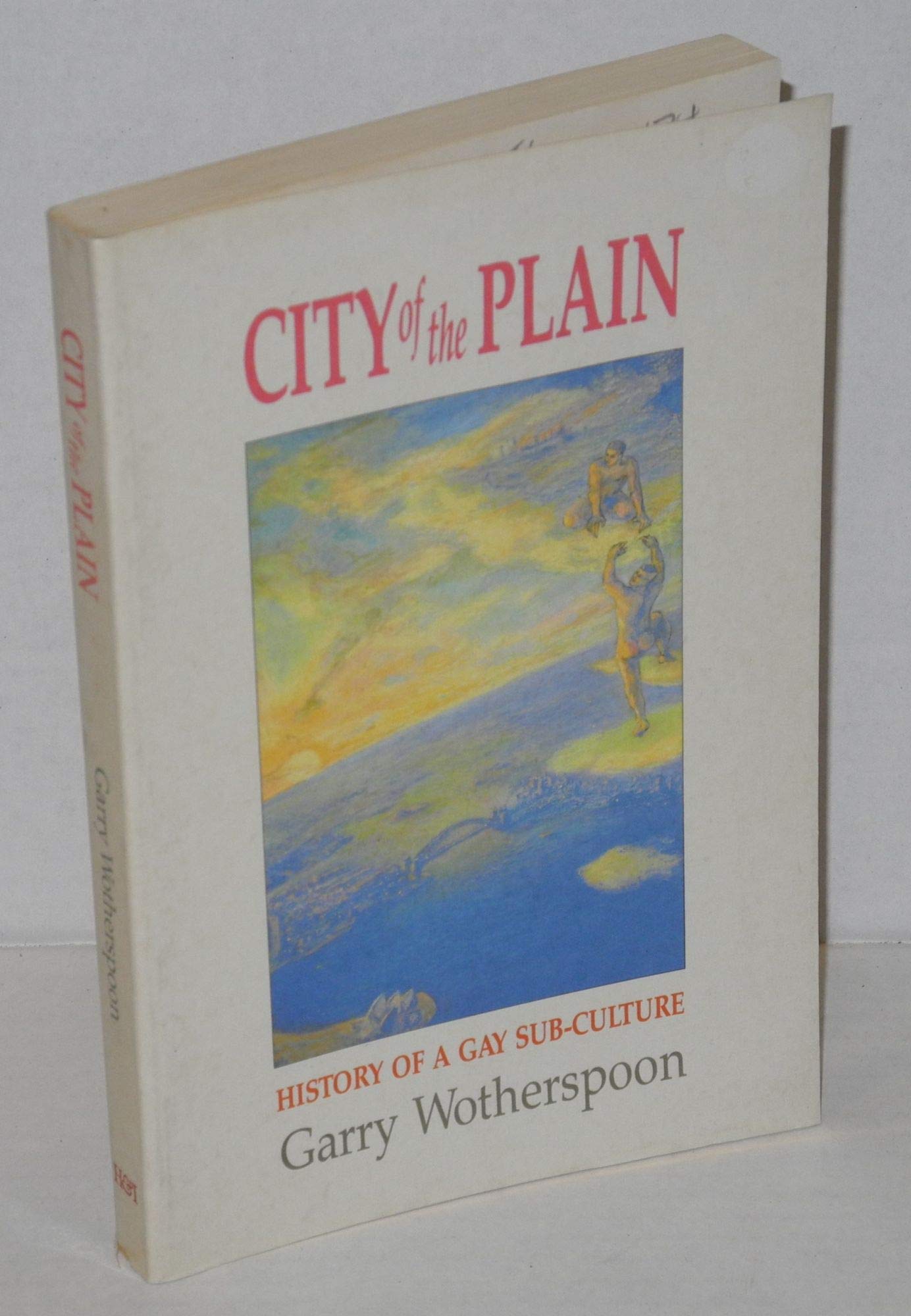 City of the plain: History of a gay sub-culture (Paperback)