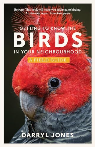 Getting to Know the Birds in Your Neighbourhood (Paperback)