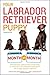 Your Labrador Retriever Puppy Month by Month by Terry Albert (2016-05-10)