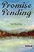 Promise Pending by Gail MacMillan (2014-03-31)