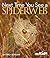 Next Time You See a Spiderweb by Emily Morgan (2011-02-01)