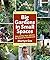 Big Gardens in Small Spaces: Out-of-the-Box Advice for Boxed-in Gardeners by Martyn Cox (2012-02-01)