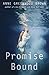 Promise Bound (Lies Beneath) by Anne Greenwood Brown (2014-01-07)