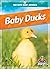 Baby Ducks