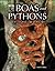 Boas and Pythons of the World