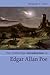 The Cambridge Introduction to Edgar Allan Poe (Cambridge Introductions to Literature) by Benjamin F. Fisher (2008-09-11)
