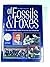 Of fossils and foxes: the official definitive history of Leicester City Football Club