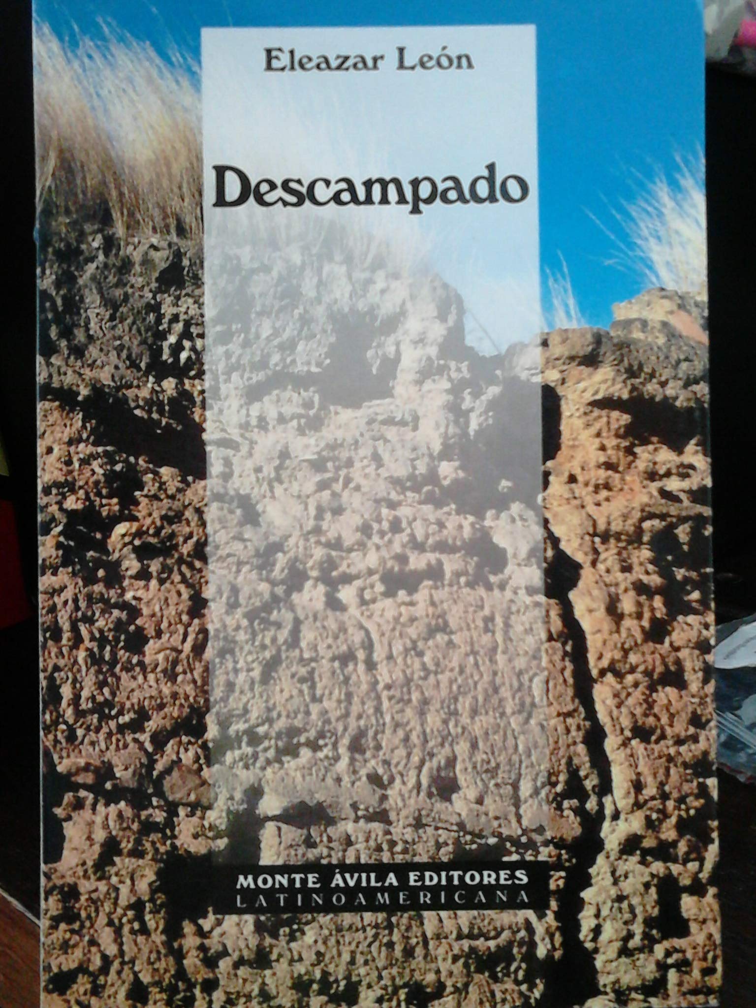 Descampado (Altazor) (Spanish Edition)
