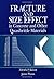 Fracture and Size Effect in Concrete and Other Quasibrittle Materials (New Directions in Civil Engineering) by Zdenek P. Bazant (1997-12-29)