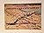 Australian Freshwater Croco...