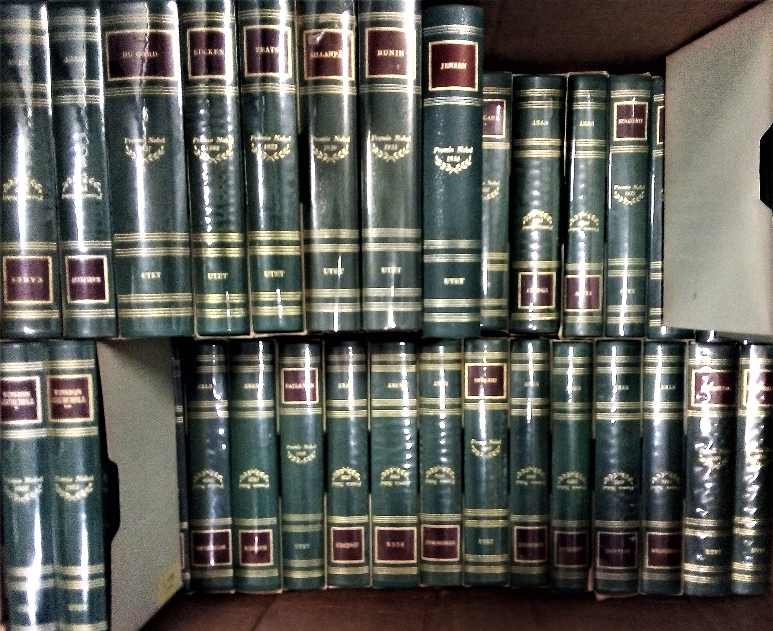 E non disse nemmeno una parola - Racconti umoristici e satirici - Opinioni di un clown - La mia musa (Hardcover)