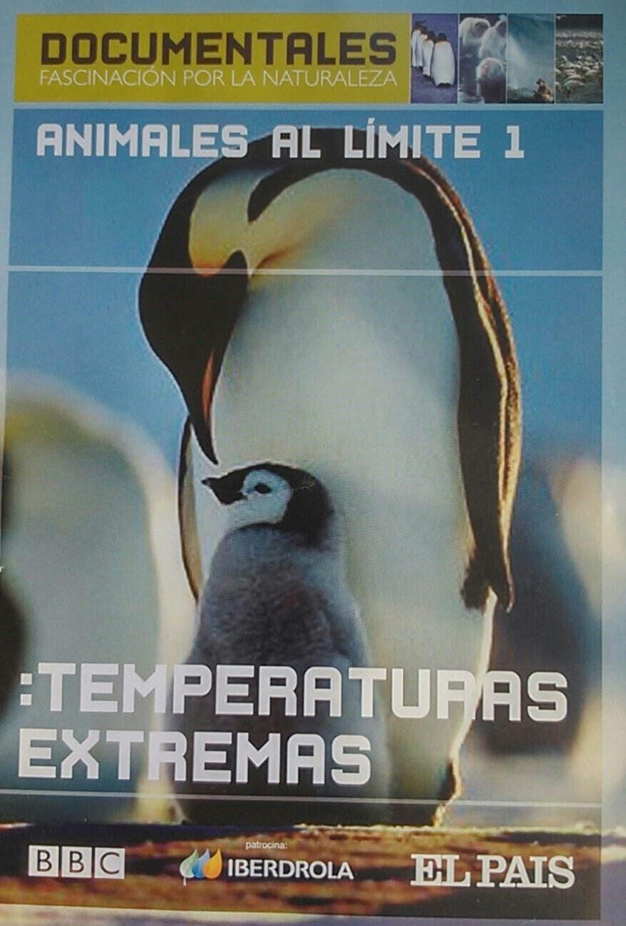 Cuentos infantiles. La bella y la bestia Nº 24 - Para leer, jugar y aprender (Paperback)