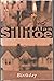 Birthday by Alan Sillitoe (2001-04-02)