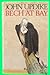 Collectible John Updike BECH AT BAY Hardcover SIGNED Politics Crime California Novel DJ